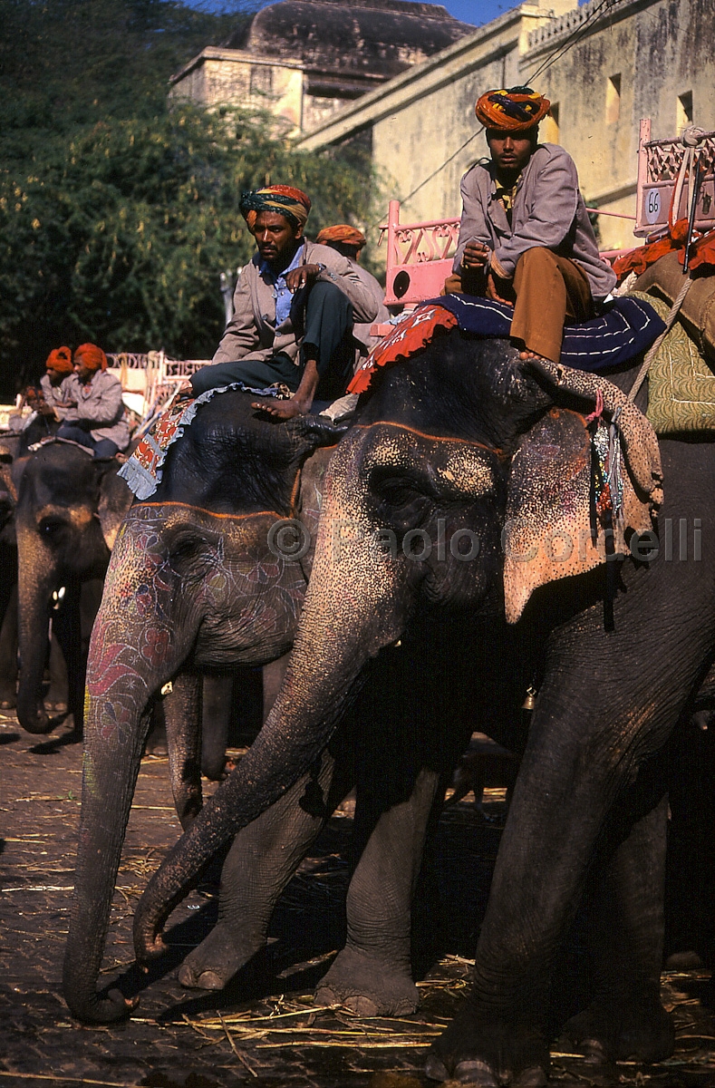 Jaipur, Rajasthan, India
 (cod:India 40)